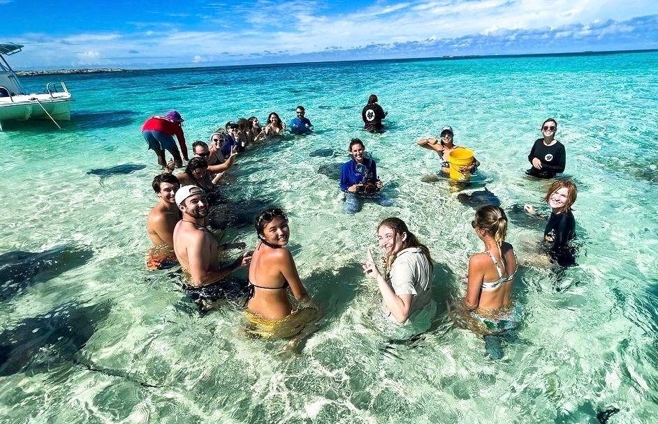 themarinediary's tweet photo. At the table of #ocean #conservation 🌊 we need to ensure that there are enough seats for everyone 🤝.

Parachute science 🪂 excludes local researchers from field studies &amp; publications conducted in their own countries...

1/5 📸@BiminiSharkLab https://t.co/bFY6mNtg3M