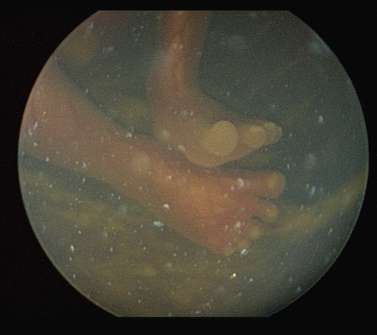 The Fetal Center tweet media