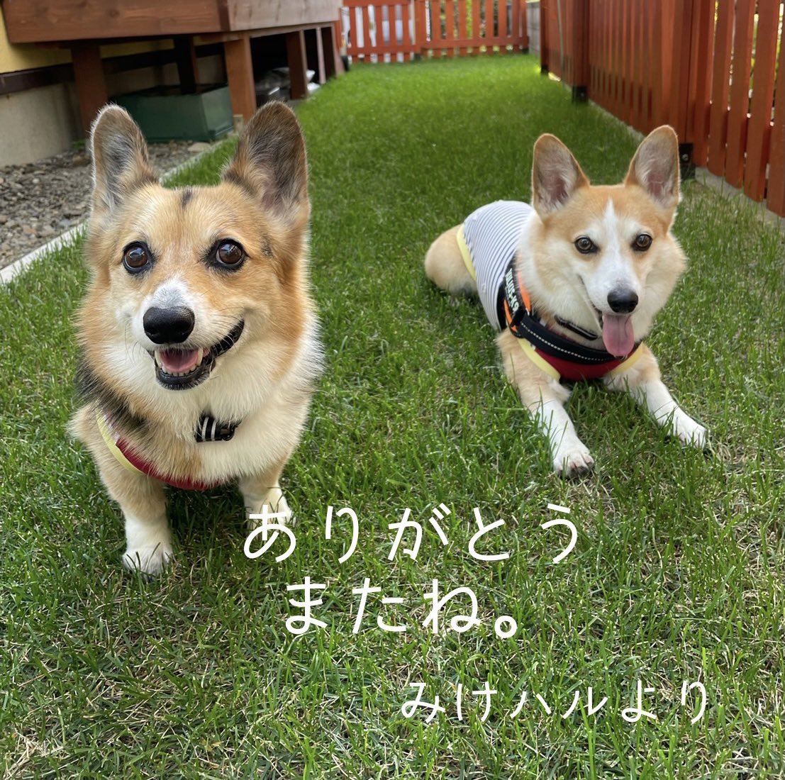 Follow Norakuma S Norakuma1 Latest Tweets Twitter