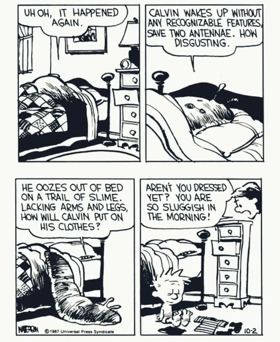 Calvin and Hobbes Fan Account tweet media