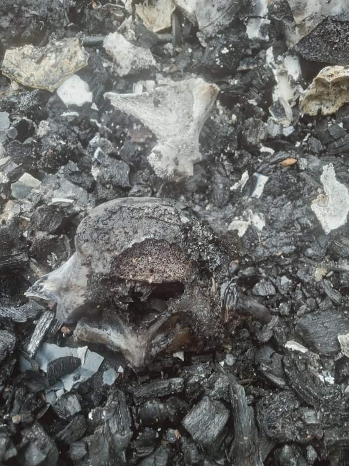 SittNaing713's tweet photo. Lal Ro Mawi (24) was brutally burned to death by SAC Terrorists in O Myay Htoo village on Dec 4 after being abducted from a farm at the east of Myinthar river village in Kalemyo Tsp. And he was being used as a human shield.

#BurntAliveByJunta
#WhatsHappeningInMyanmar https://t.co/2MFR2Smrsq