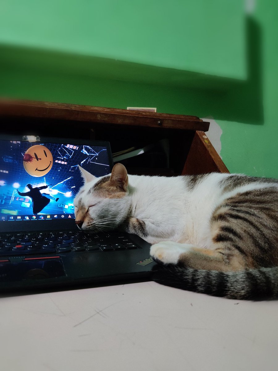 clayyytonbigsby's tweet photo. ???? kaam karne de catfood free mein nahi aata https://t.co/ggJlK4uSrt
