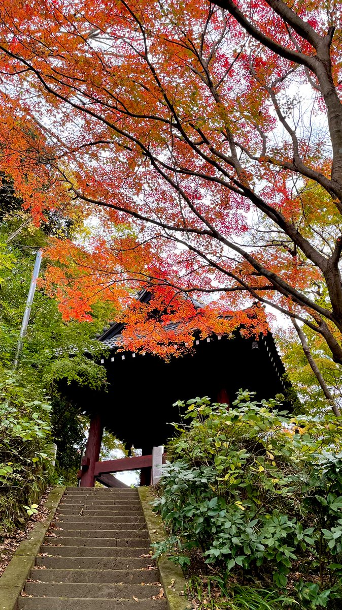妙本寺 比企ヶ谷(地名)って俺ガイルの影響で「ひきがや」って読んじゃうけど「ひきがやつ」なんだね 