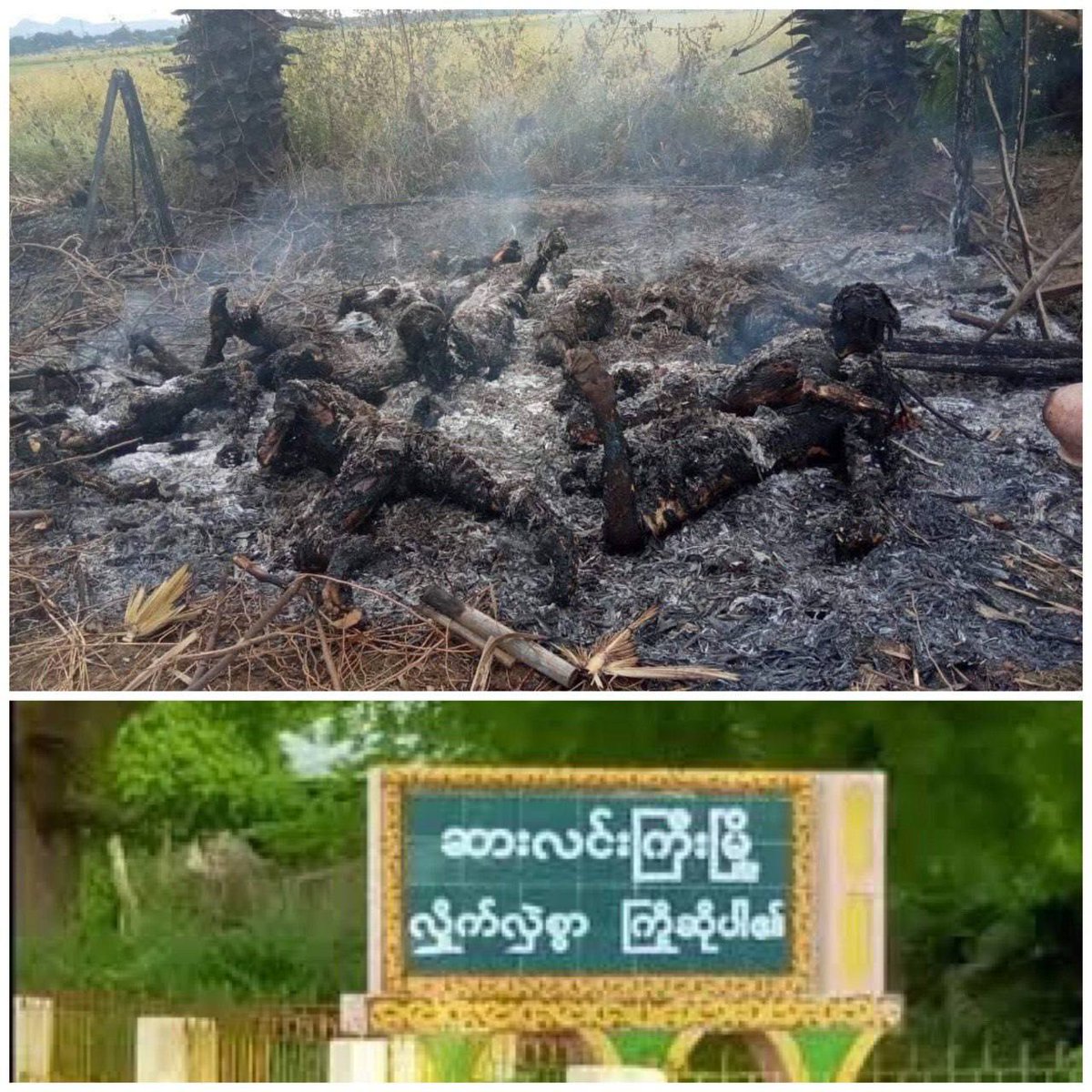 khin129's tweet photo. Tw//Sensitive Content
11 innocent people of  Donetaw village, Salingyi tsp, Sagaing were brutally tied up &amp; burnt down by military today. We strongly advocate ending the culture of impunity that has enabled military to unleash unimaginable violences on Myanmar.#BurntAliveByJunta https://t.co/qgOCSQreta