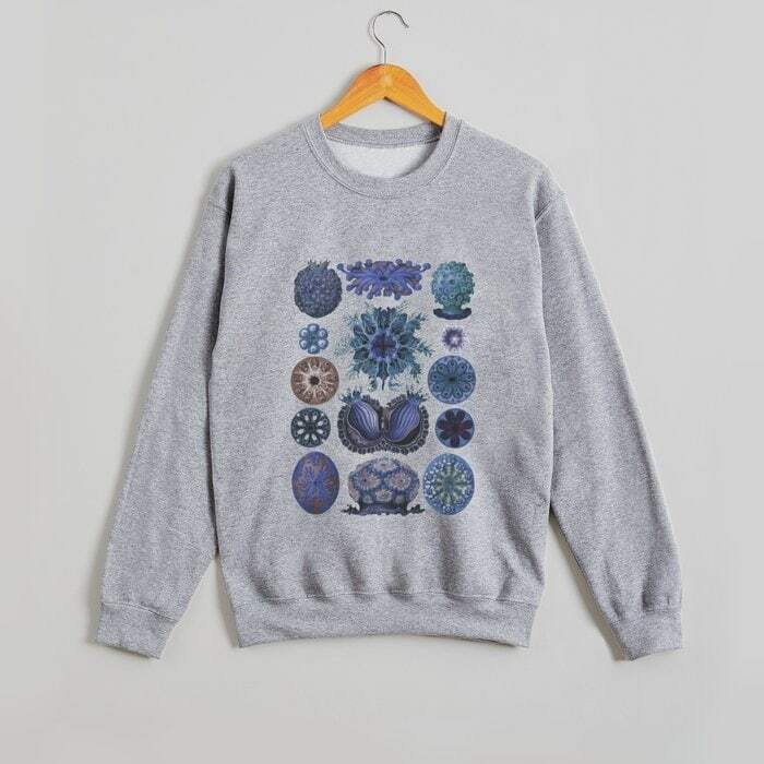 ScientistSnap's tweet photo. I decided to treat myself to a Sweatshirt from @society6 in my Ernst Haeckel Sea Squirts in Vivid Blues. I had a hard time deciding what color to get, but think the grey Sweatshirt with the blue print is just what I need.
.
.
.
.
#society6 #textiledes… https://t.co/LoCTc170Tt https://t.co/s589b5l3LE