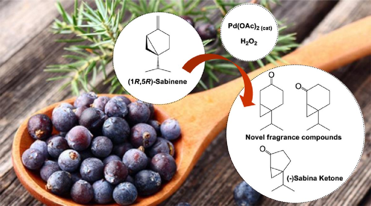 LianeGroup's tweet photo. New publication with a great collaboration team... Palladium-catalyzed sabinene oxidation with hydrogen peroxide: Smart fragrance production and DFT insights. @atabraga @labnanomat  https://t.co/n9enynZHJq https://t.co/wDAOMhaves