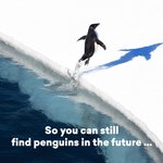 Photo by FindPenguins — Travel Tracker App (@FindPenguins)