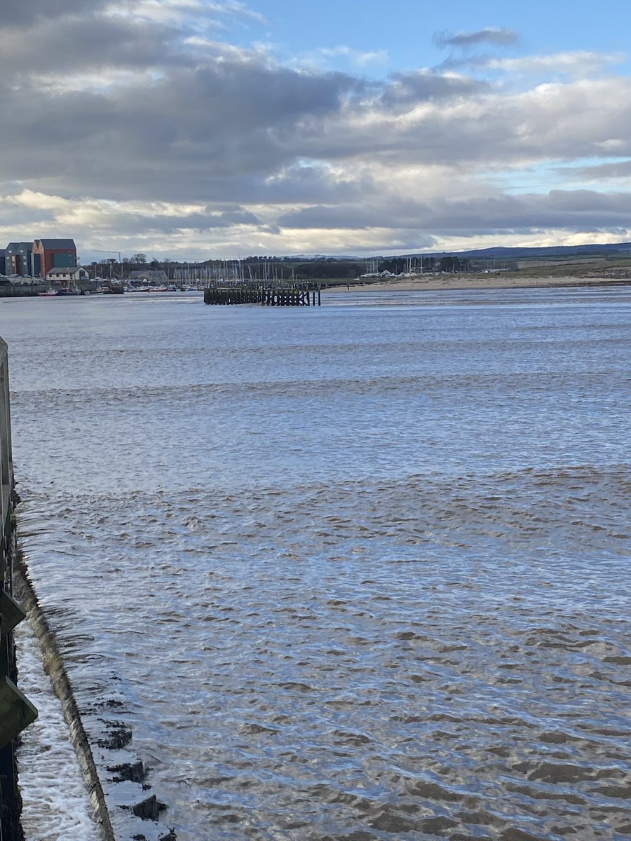 NorthsideSurf tweet media