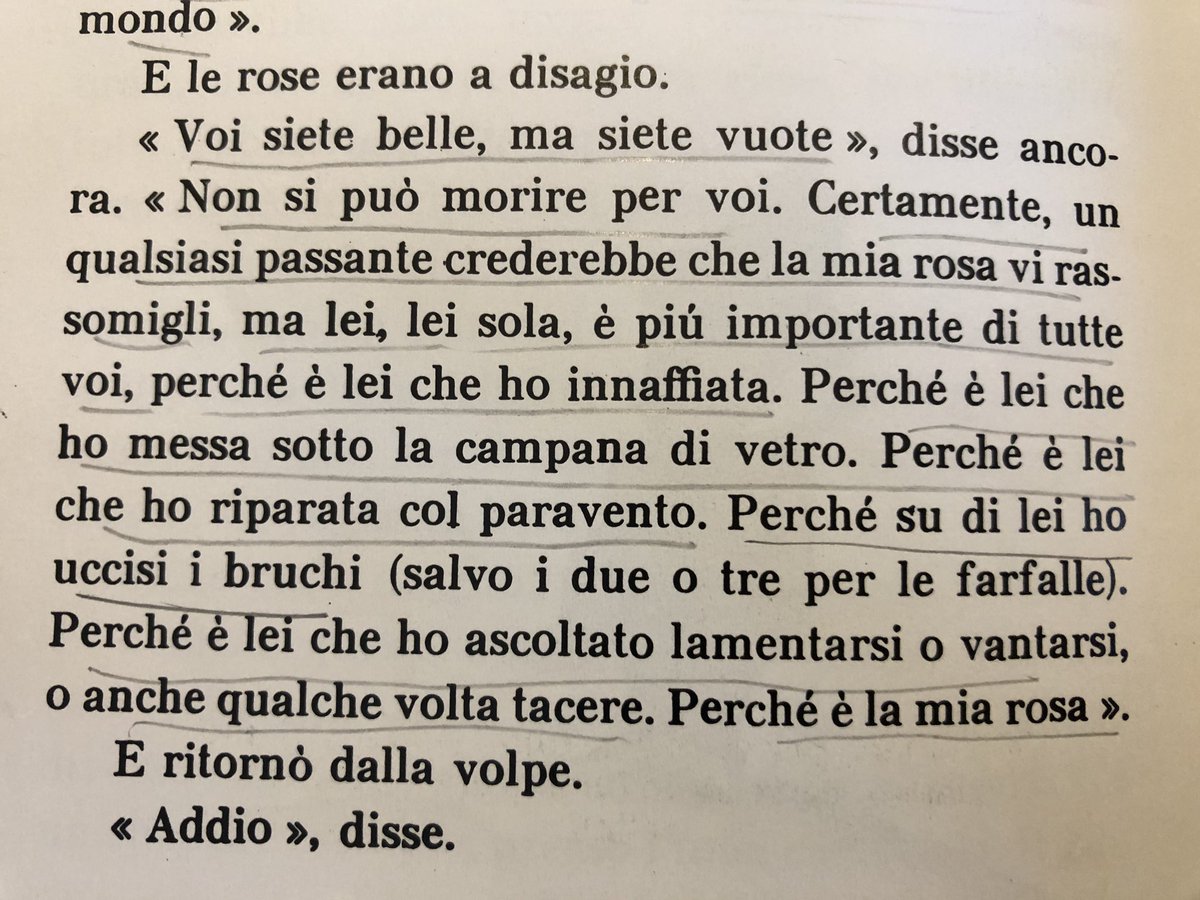 #ilpiccoloprincipe #antoinedesaintexupery