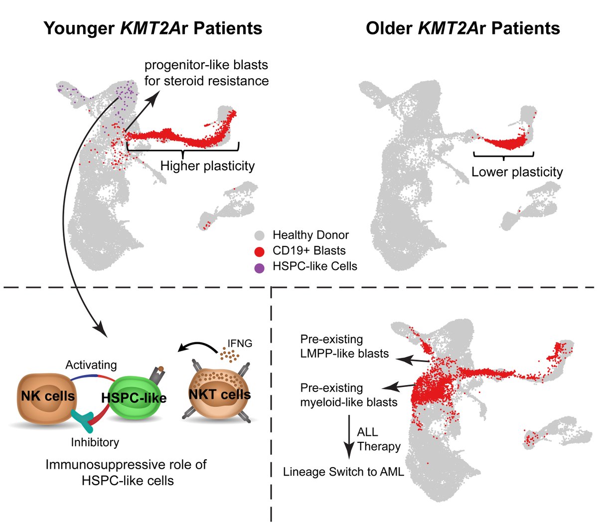 Happy to share our newest study on KMT2Ar leukemia using single cell multiomics! 
rb.gy/c58zk8