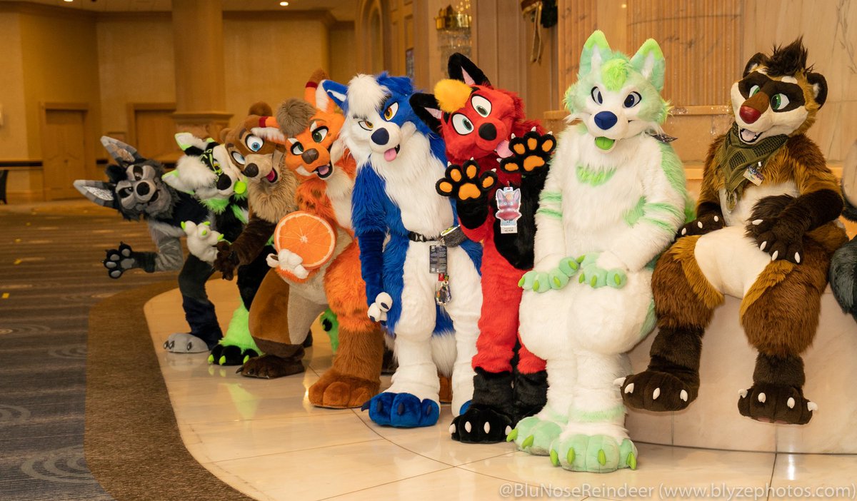 ThatsFurredUp's tweet photo. Some wonderful shots from #furfest just in time for #TFUTuesday!
βοΈ @ThatsFurredUp
πΈ @BluNoseReindeer https://t.co/Y0MkyCMAWb