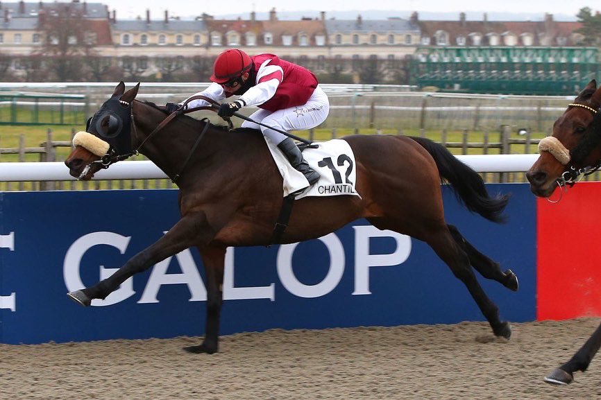 Coup de 3 aujourd’hui à Chantilly pour la Team. 
Doublé de <a href="/pasquito60/">Pasquier Stéphane</a> en selle sur Healing Oasis pour l’entraînement de Mr <a href="/ChappetRacing/">Chappet Racing</a> . Et Yssingeaux pour Mr D.Zarroli. 
Vincent Cheminaud quant à lui s’impose avec Danarosa pour Mr Gernay.  
<a href="/SandraBiloe/">Biloé Joaillerie Monte-Carlo</a> 
<a href="/ScoopDyga/">ScoopDyga</a>