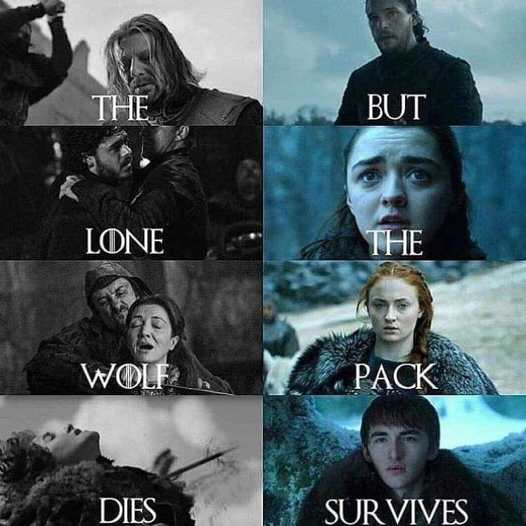 Clint_sitaman's tweet photo. @Saitamaguru1 @InuSaitama @SaitamaWolfess  The Wolfpack will survive https://t.co/aWfj1Efkfu