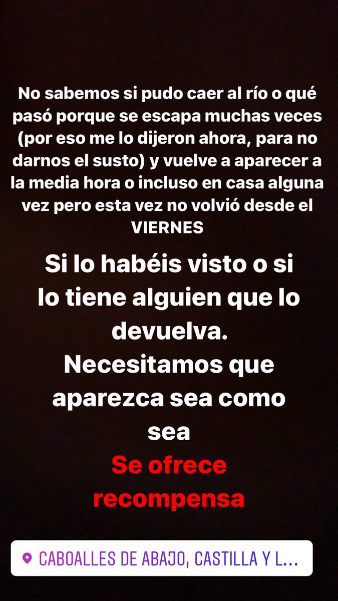 cristina tweet media