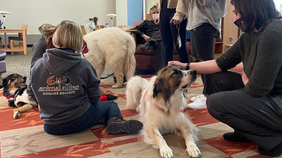 uw_superior's tweet photo. Students got a chance to relax and destress today at the @jdhlibrary - Thanks to @animalalliesdlh for visiting! https://t.co/D8r2c0iZtq