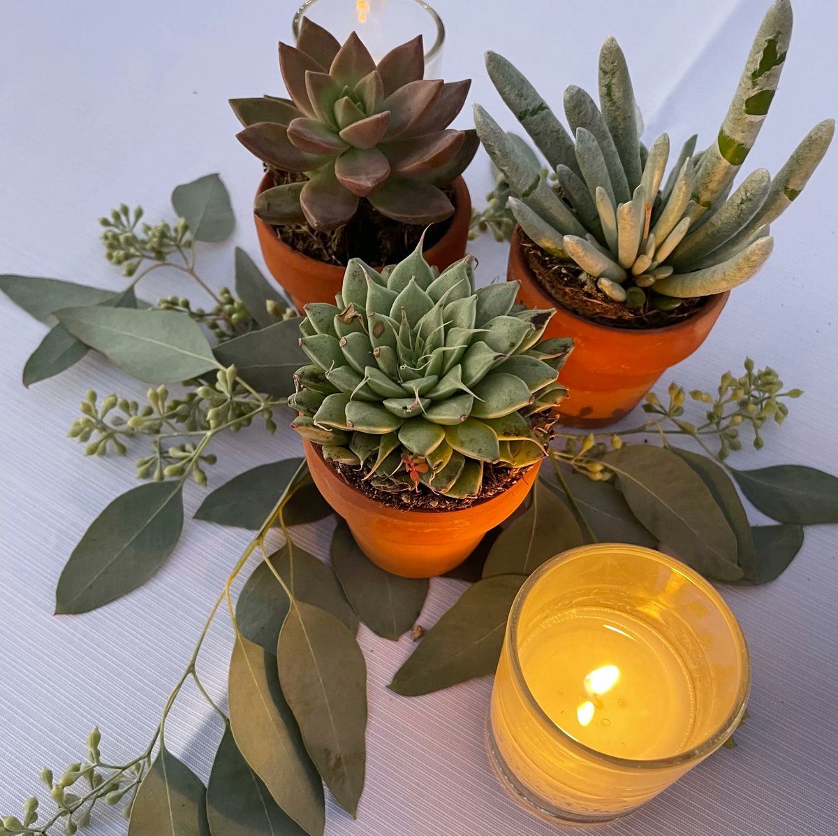 Unbridled tweet media