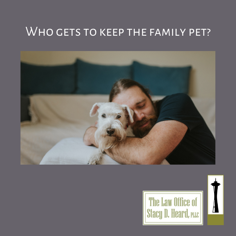 Washington does not have pet custody laws when it comes to divorce. In a divorce, pets are considered property, which means the courts treat them according to their monetary value even though the owners may have a deep emotional attachment. 

#petcustody #petparent