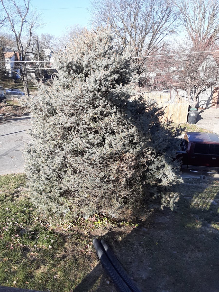 ArynchrisTwitch's tweet image. Got #KEYS
To #NEWHOUSE
With #AccessibilityFeatures
And #FREETREE to decorate
8D