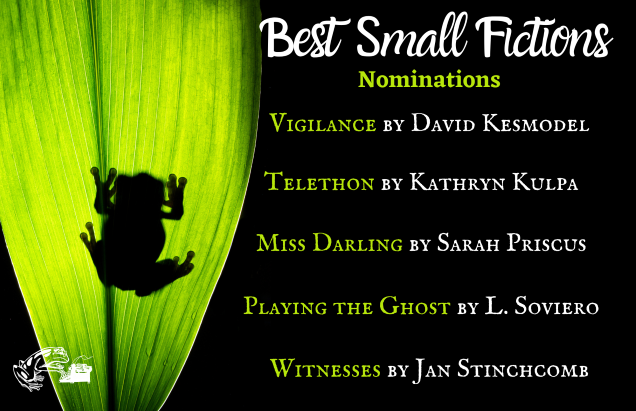 Excited to announce our <a href="/BestSmFictions/">Best Small Fictions</a> nominees!
