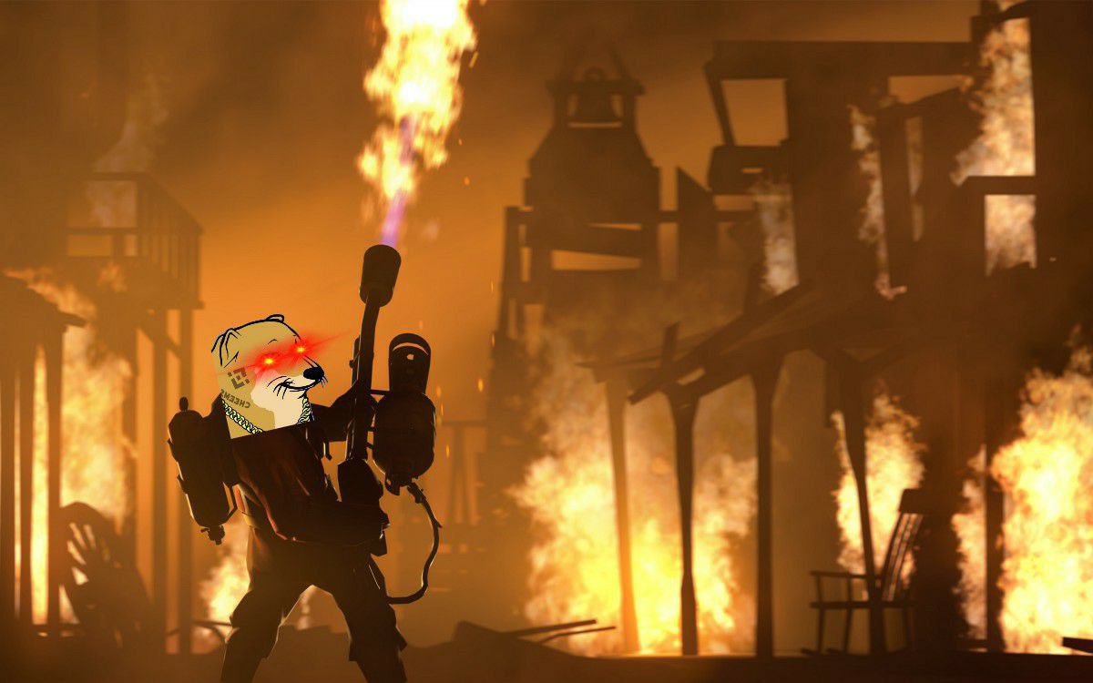 azunachi1884's tweet photo. Live pov of our new burn feature 😂#CheemsInu #Cheems https://t.co/KWxPitgXSQ