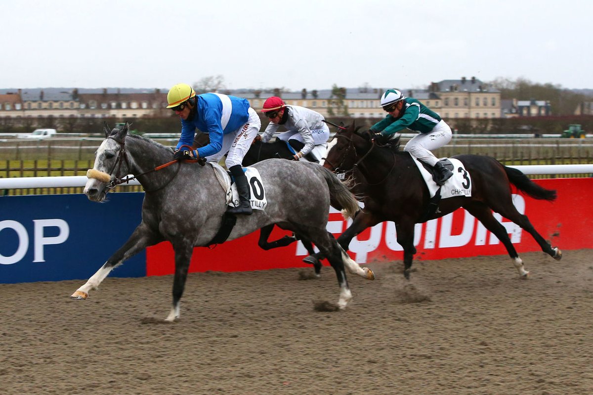 🥇Prix de la Garenne de Charlemont à Chantilly SAINT NICOLAS, un bonheur de cheval 🙏 @fgchantilly #hippodromeChantilly @HarasdeVassy @CSoumillon #christopheSoumillon @ScoopDyga