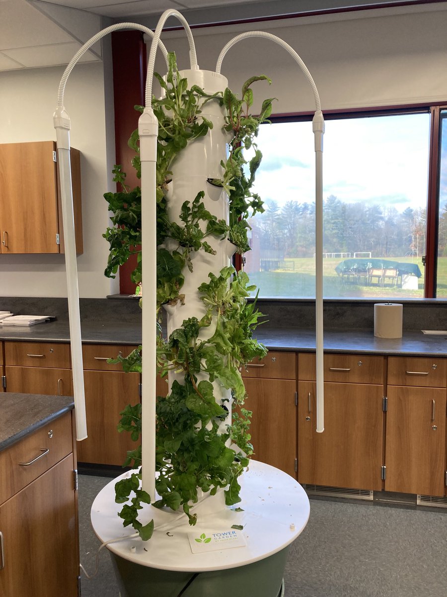 This isn’t the home economics I remember. Air Fryers have made their way in and growing our own food sources is the norm. Great day at Henry James #newhomeSimsbury