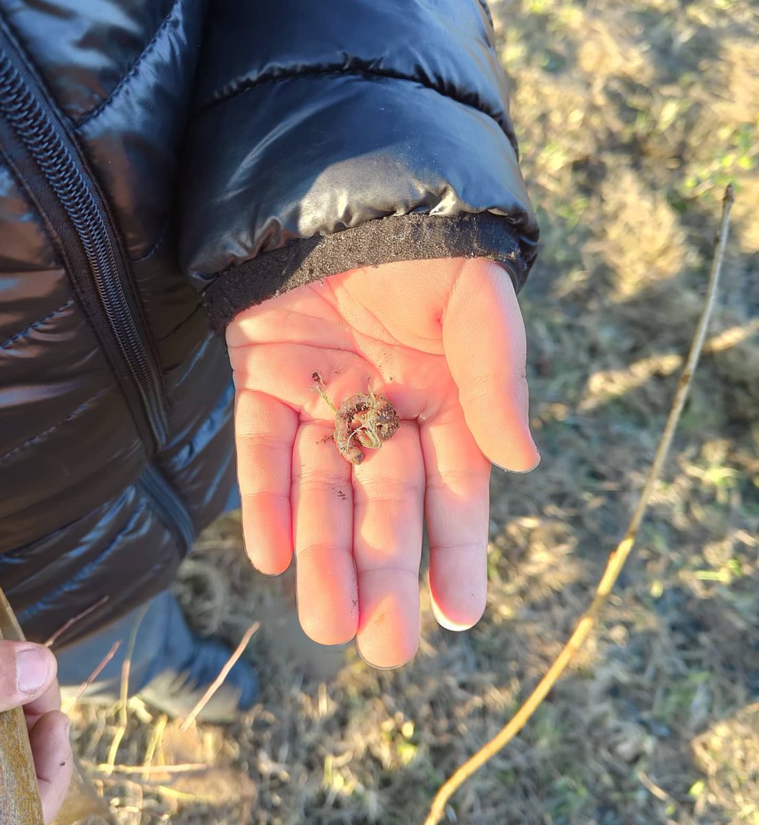 TCVHaringey's tweet image. National Tree Week: Completed🌳🌍💚
TCV Haringey and TCV Waltham Forest had a great week last week - 
a MASSIVE Thank you/ Well done to the local schools who joined us last week 👏🏻 we planted over 600 trees over 5 days! 😱
HT
#treeplanting #nationaltreeweek #nationaltreeweek2021