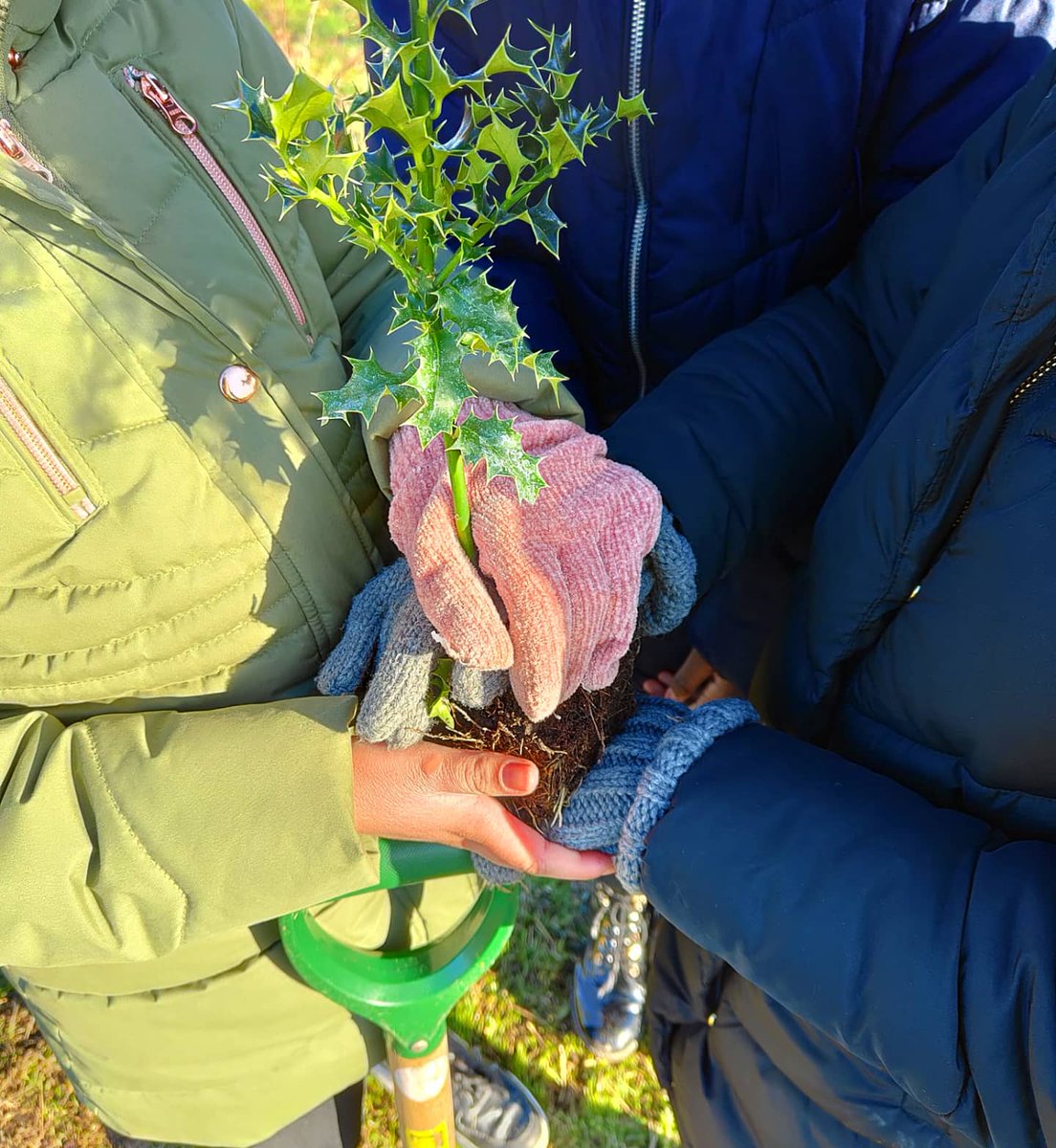TCVHaringey's tweet image. National Tree Week: Completed🌳🌍💚
TCV Haringey and TCV Waltham Forest had a great week last week - 
a MASSIVE Thank you/ Well done to the local schools who joined us last week 👏🏻 we planted over 600 trees over 5 days! 😱
HT
#treeplanting #nationaltreeweek #nationaltreeweek2021