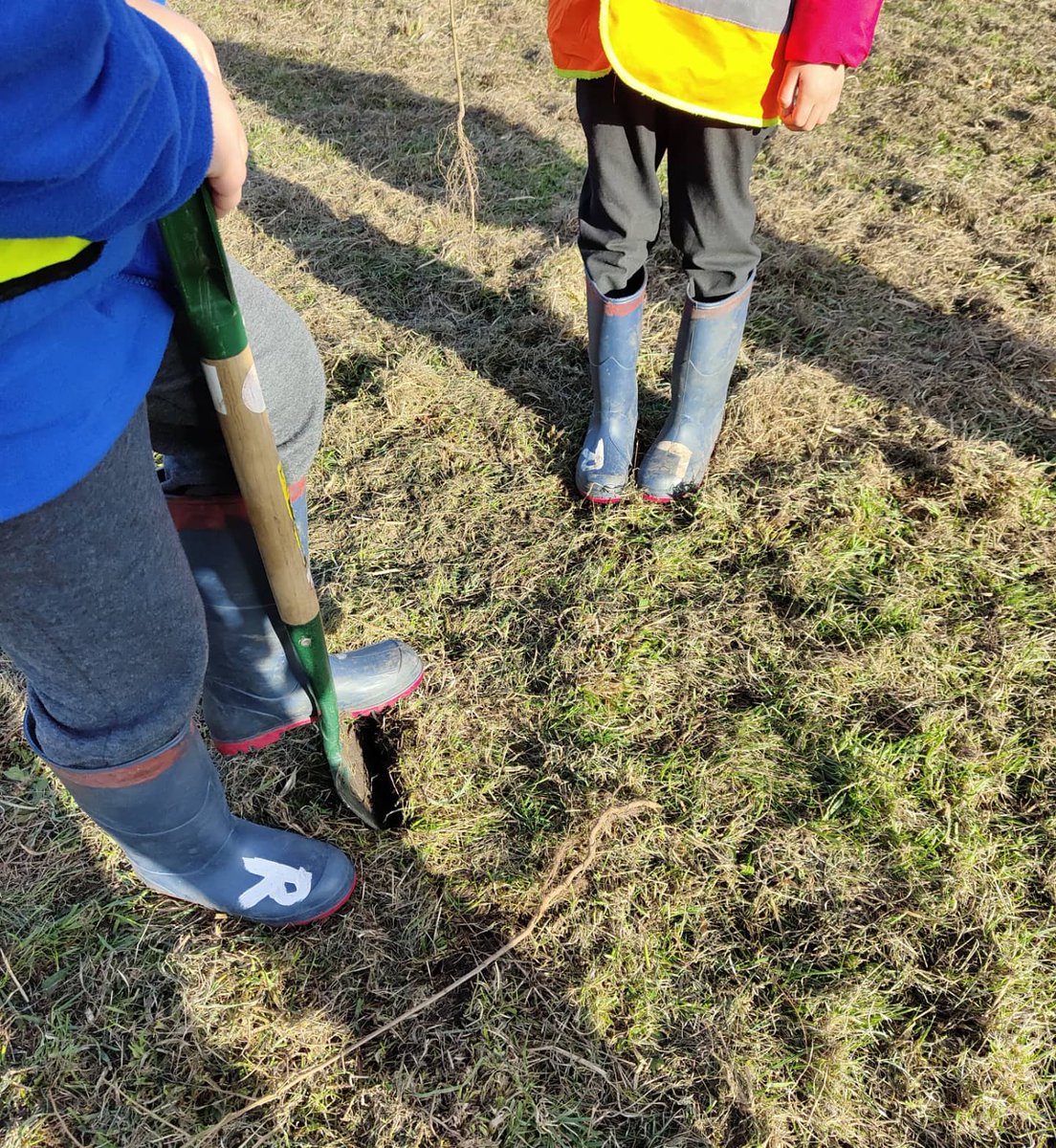TCVHaringey's tweet image. National Tree Week: Completed🌳🌍💚
TCV Haringey and TCV Waltham Forest had a great week last week - 
a MASSIVE Thank you/ Well done to the local schools who joined us last week 👏🏻 we planted over 600 trees over 5 days! 😱
HT
#treeplanting #nationaltreeweek #nationaltreeweek2021