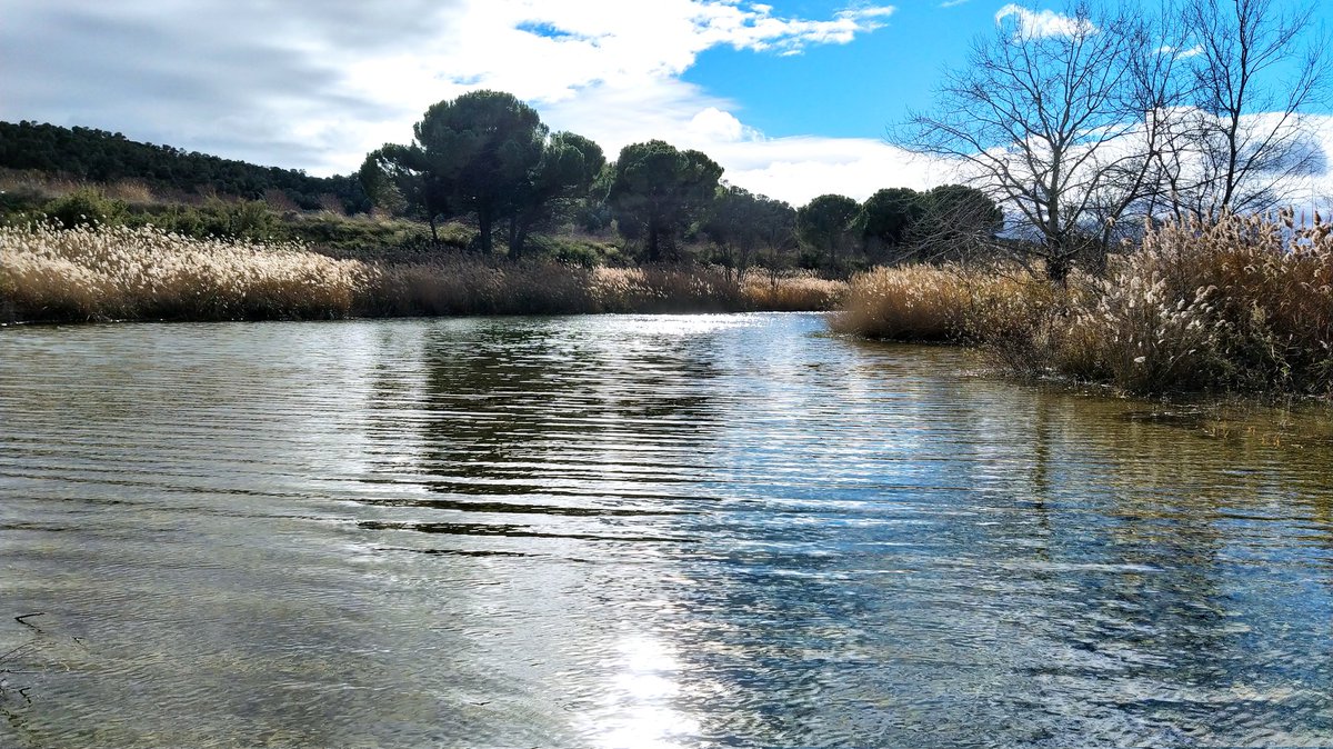 La neu pot molar, però veure l'Algars ple és una meravella... i sense cues ni mascaretes!
#terresdelebre #terraalta