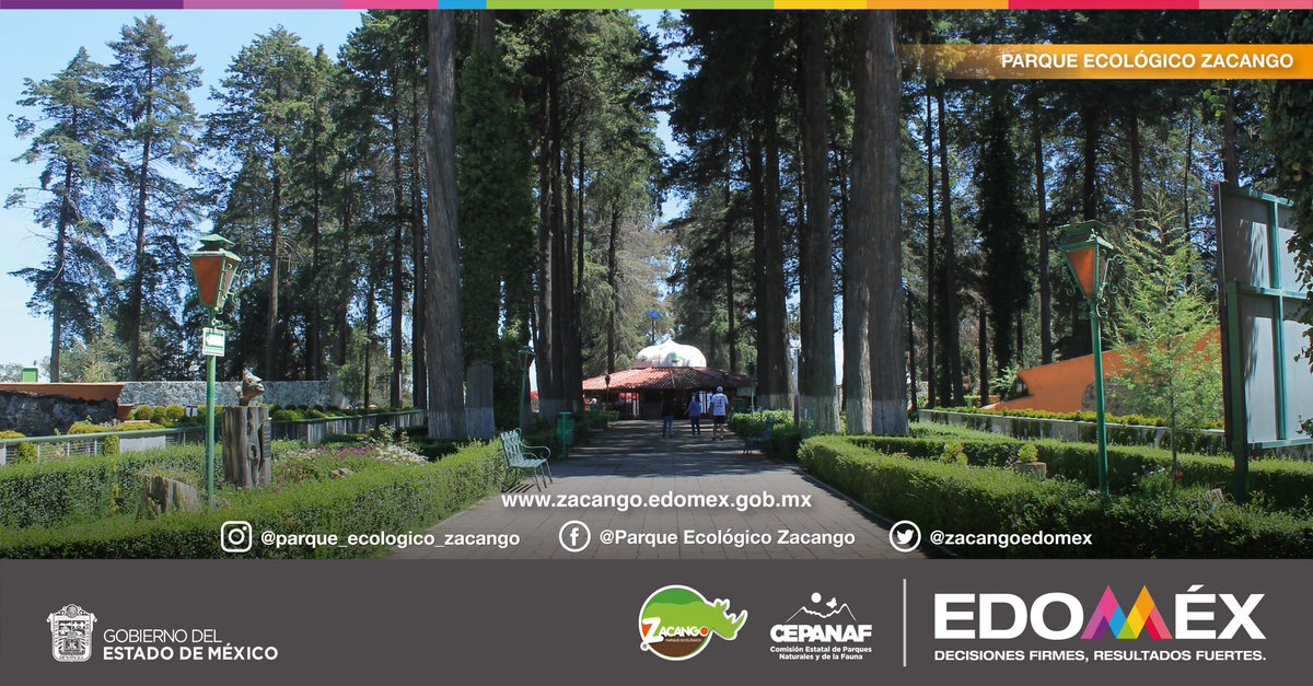 Un #DatoCurioso es que desde que desde 1980 #Zacango ha estado enclavado en 159 hectáreas de área natural protegida con vida silvestre propia lo que le da una fuerte importancia biológica a la fauna del parque. ¡Visítanos en nuestro 41 aniversario!