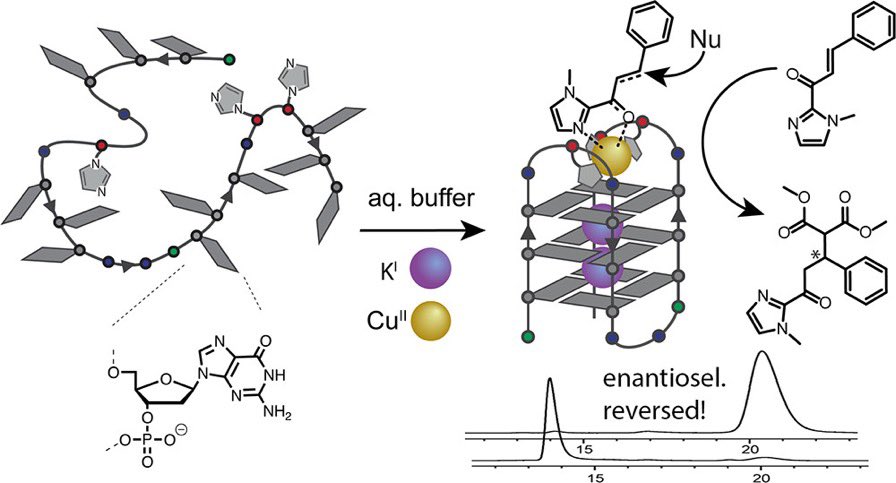 We have a #postoc #job offer in our <a href="/MERCUR_Research/">MERCUR</a> funded #DNA project on redox-active and catalytic #G4 #Quadruplex structures <a href="/TU_Dortmund/">TU Dortmund</a>. Experience in phosphoramidite chemistry and DNA synthesis? Please apply (English or German) through: jobs.tu-dortmund.de/job/view/995/w…