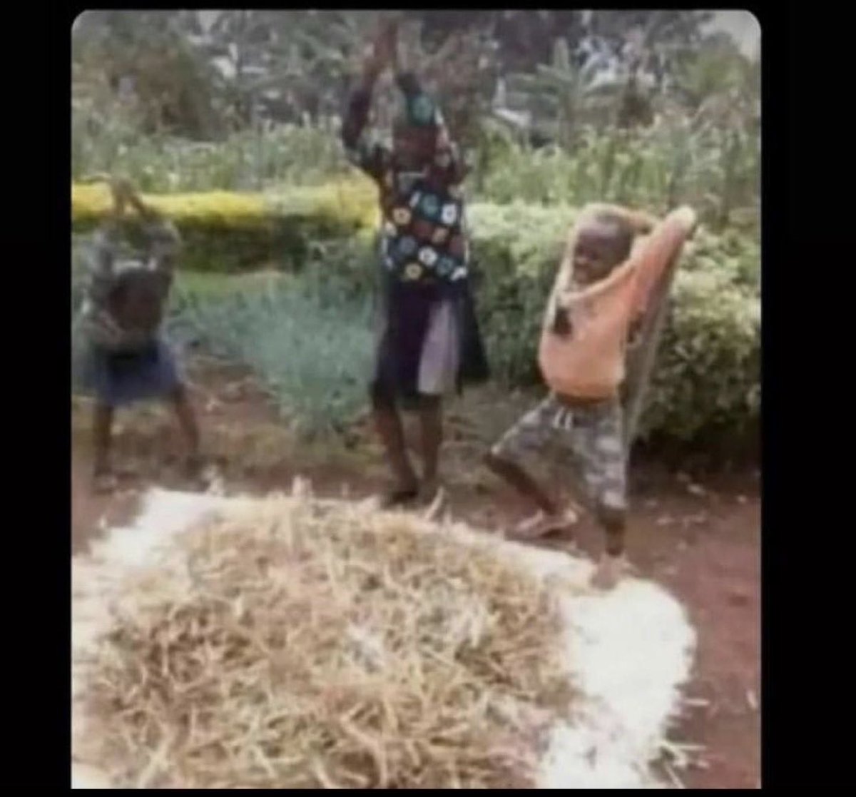 delurian's tweet photo. Richkids wanaeza dhani tunaua nyoka😂 https://t.co/2FpeIeojD1