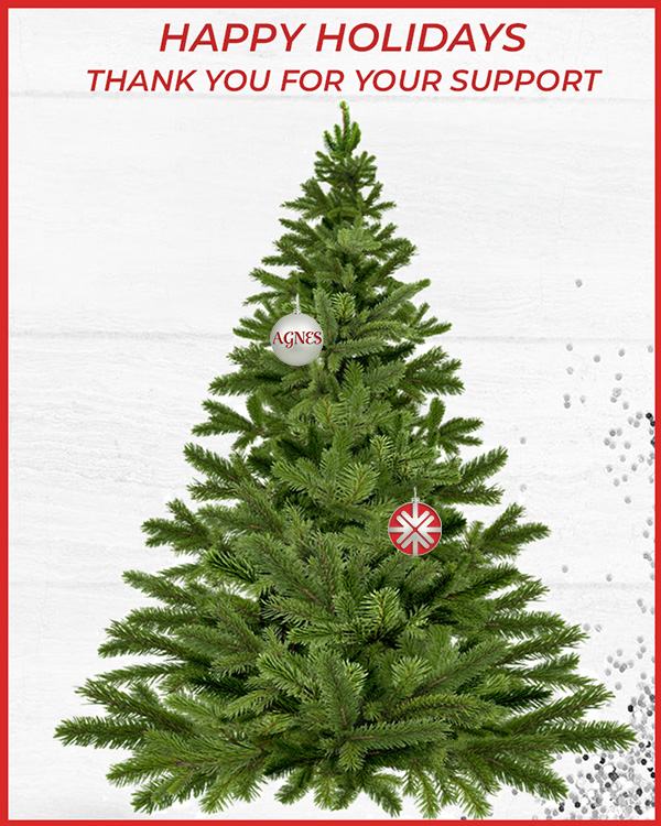 Give the gift of a unique leadership opportunity and help us fill our tree for the holidays. Support the Commonwealth Leader Dialogues by donating to our cross-sector, experiential programs and dialogues this #givingtuesday. 

Find out more at commonwealthleaders.org/support-cld