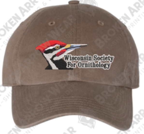 Wisconsin Society for Ornithology tweet media