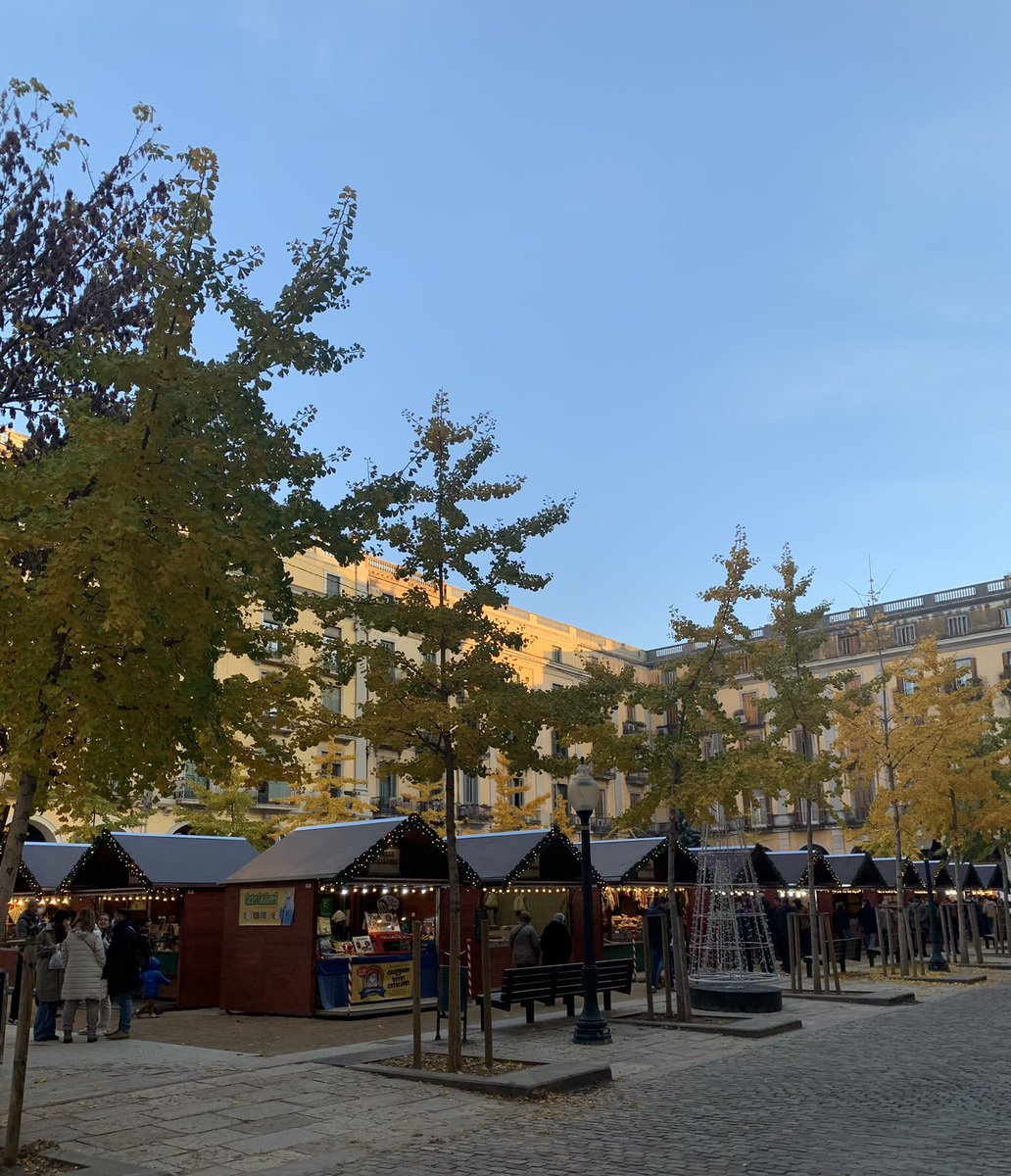 andrealopezpast's tweet photo. 🍁🎄 A Girona ja tenim el mercat de Nadal, però encara amb restes dels colors de tardor #Pregotemps @_ElPregoner 

(Girona i jo encara us esperem, per cert) https://t.co/74moqcVGCv