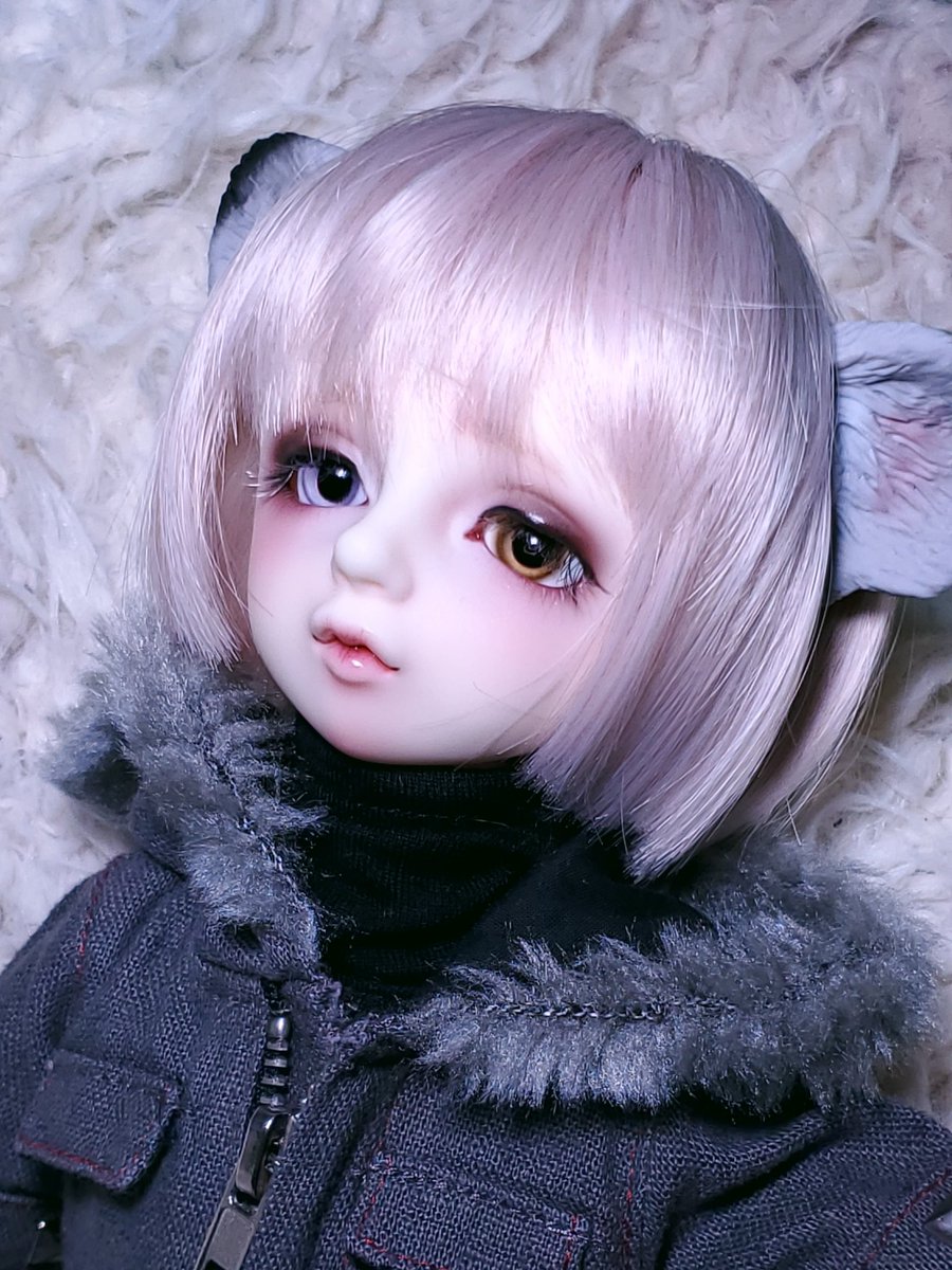 yuzuneko_doll's tweet photo. 彪之祐が可愛い💓💞
#sdm16 #msd16 https://t.co/V8GlpBlvvc