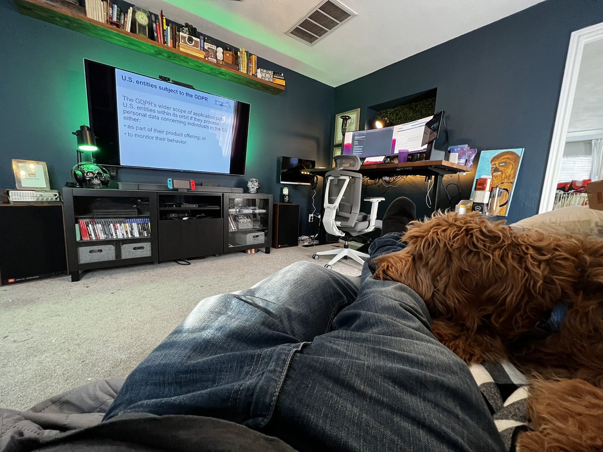 When watching #GDPR security webinars isn’t the worst. #WorkFromHome
