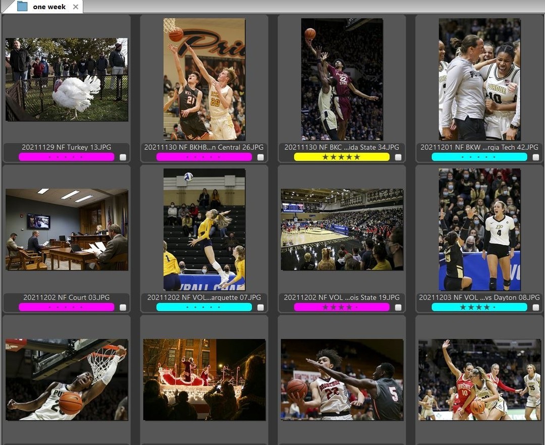 11.29 -12.5.21 by Nikos Frazier <a href="/nikosfrazier/">Nikos Frazier</a> who is a visual journalist with the @journalandcourier in Lafayette, In. Turkeys, plenty of court sports and a Christmas parade to name a few! #photojournalism