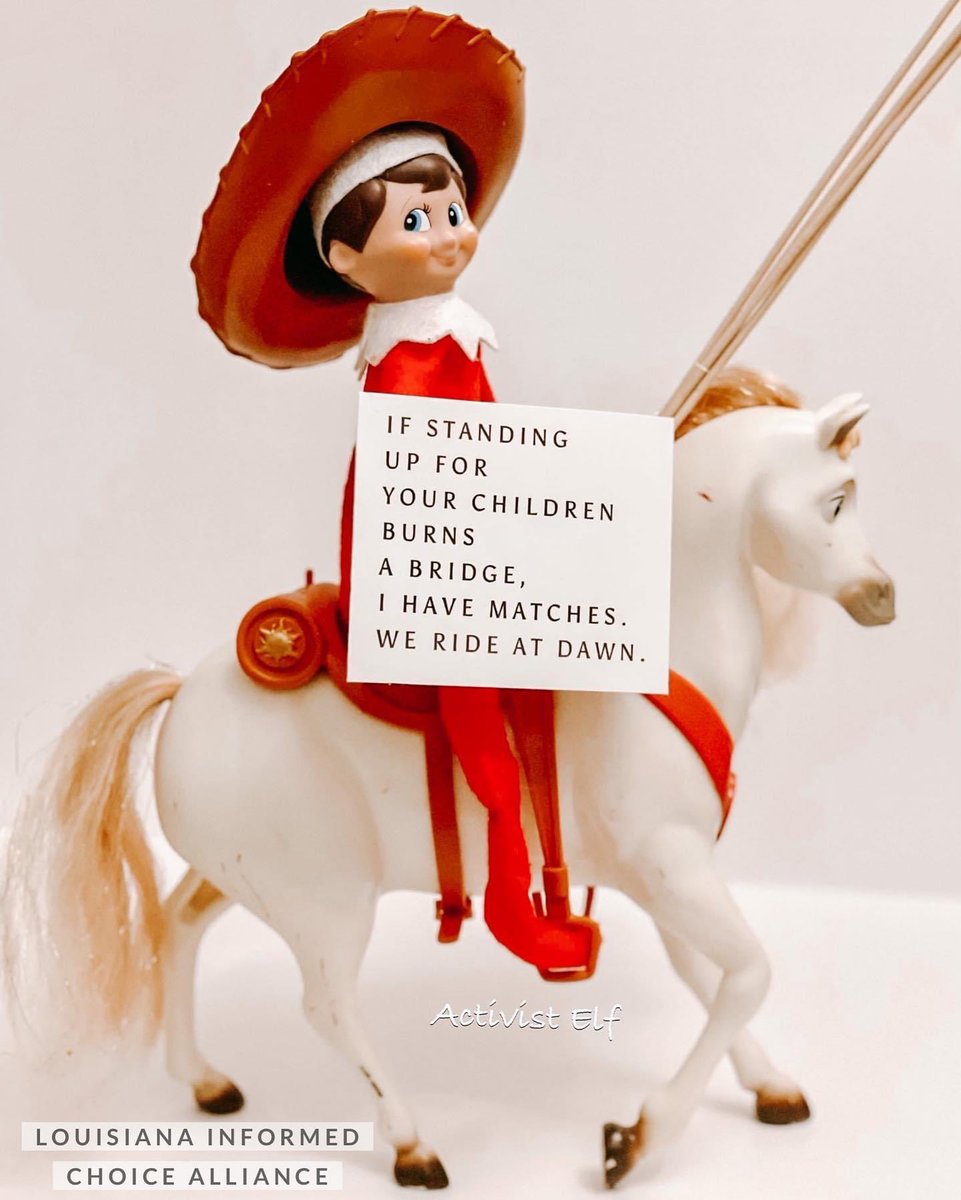 ActivistElf's tweet photo. #elfontheshelf #activistelf https://t.co/DznBW1de1M
