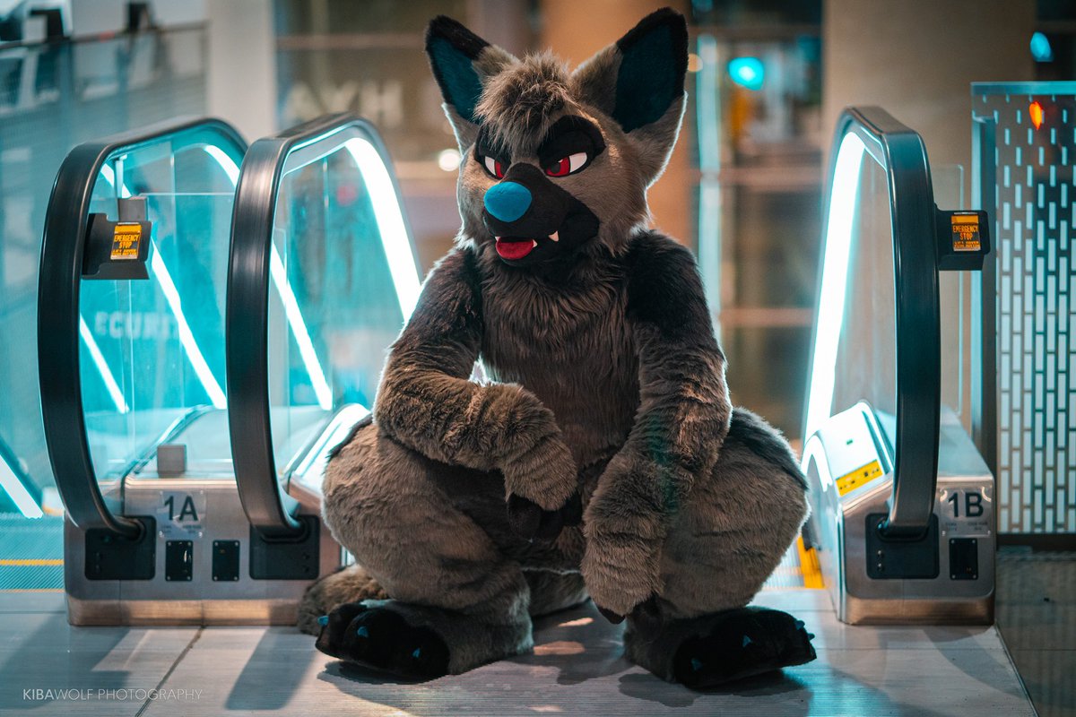 RookaRoo tweet media