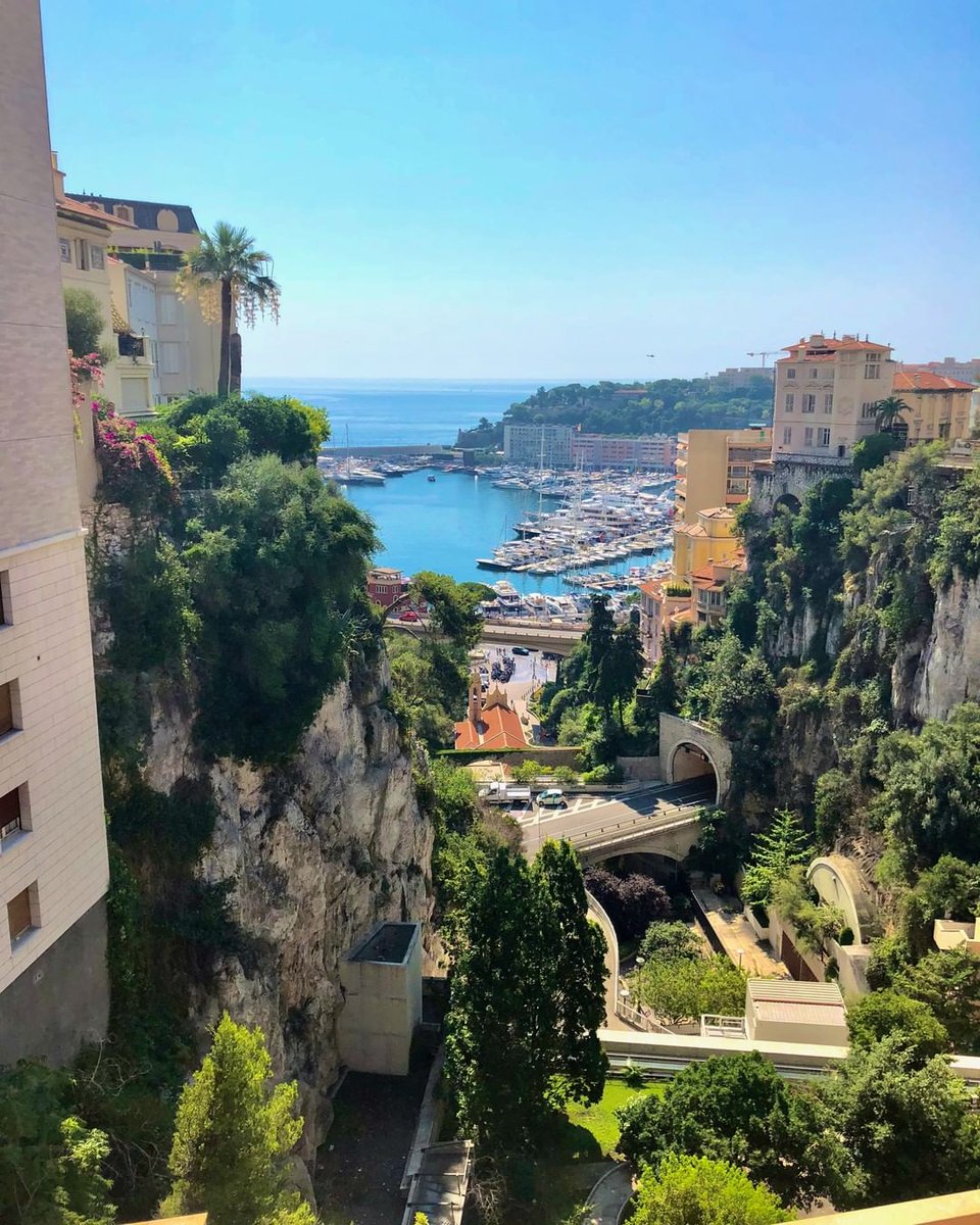 AvondaleTravel's tweet photo. Monaco is one of the ritziest bolt-holes on France’s Mediterranean coast. Visitors can explore casinos, dine at Michelin-starred restaurants, and shop from the many boutiques.

📷  @littlelangoustine

Contact your Avondale Travel Advisor for added perks.
https://t.co/OIgYBVyYGE https://t.co/DoniknmVaY
