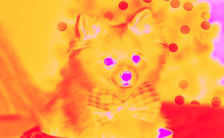 ArtDogsCollect's tweet photo. Take the chance to collect this beautiful collection of puppies! In this way you will be helping the animal cause!!!

https://t.co/2FRImzQ0pd https://t.co/7GhaZywXWH