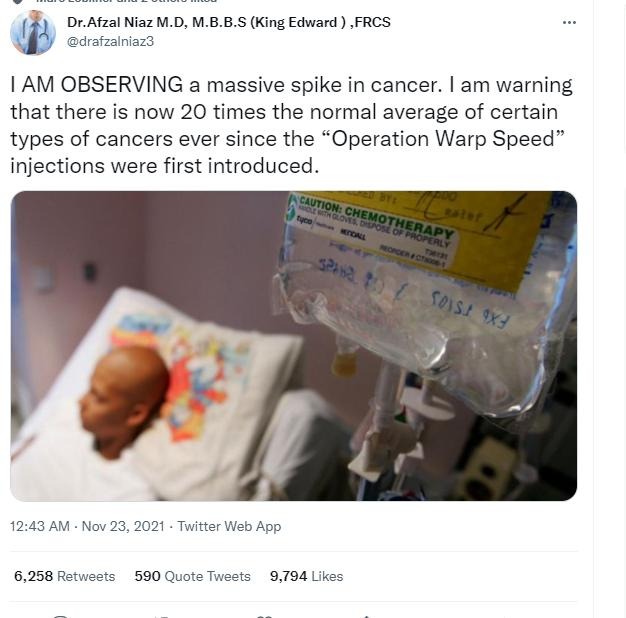 NeNeNoMore tweet media