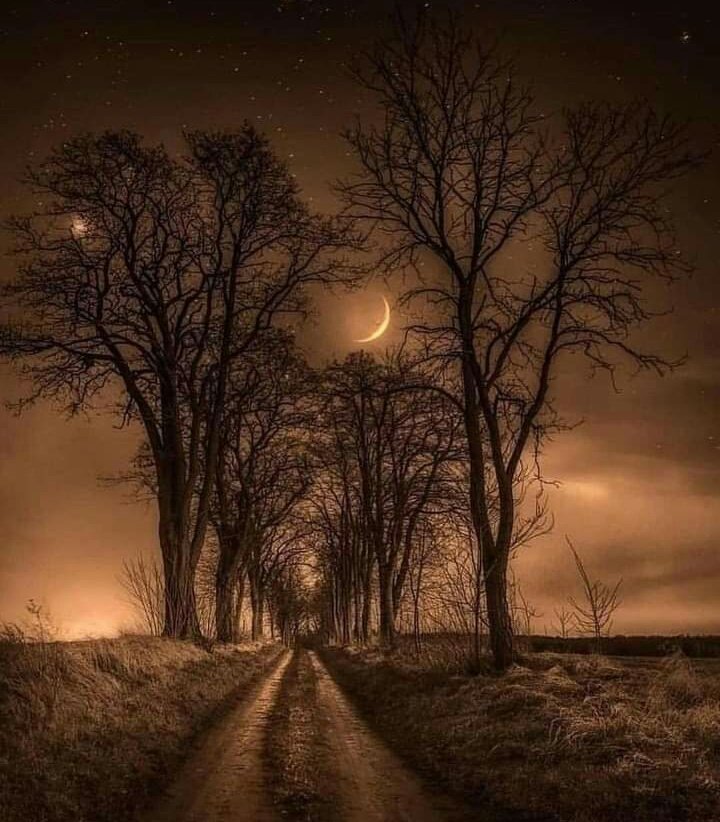 HayalDu86868448's tweet photo. - Kırık bir dal mı, yağma bir bahçe mi ömrümüz? https://t.co/4k11qpdxpt