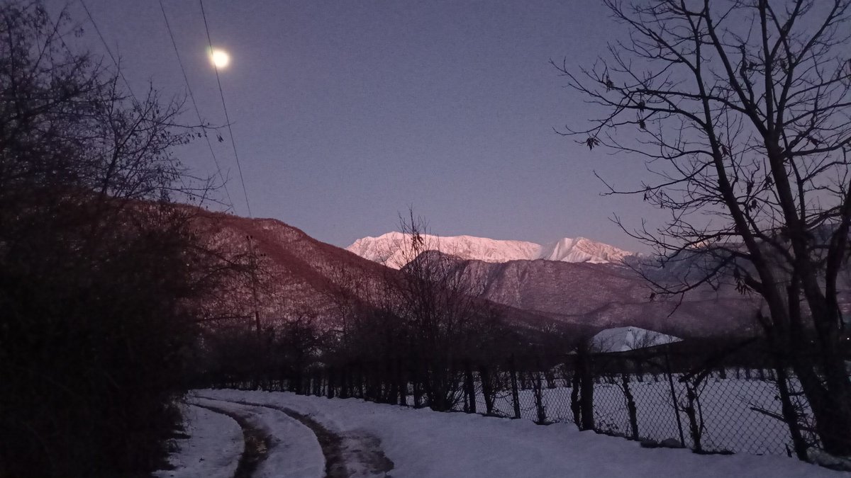 𝐀𝐒𝐋𝐀𝐍 (@aslanmmedli) on Twitter photo 