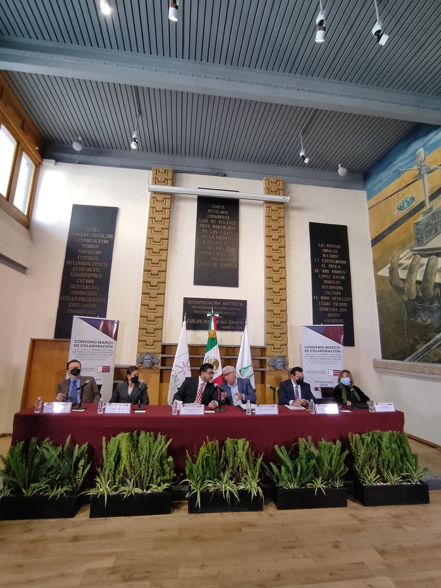 AGNMéxico tweet media