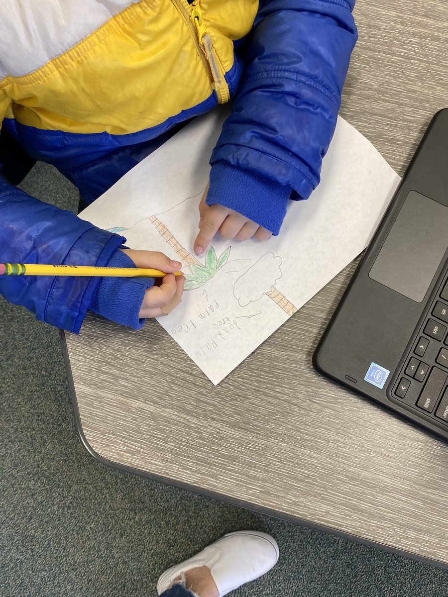 Ciera Still tweet media