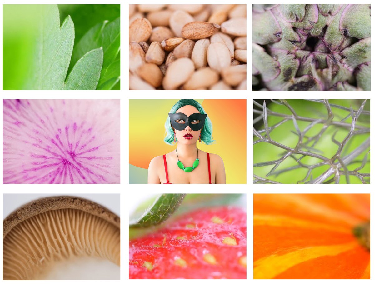 #artistvsart2021 
thank you all for the inspiration, lessons and love.💚
Rn my 1/1-macro-photography is available (Link below).
For 2022 there are some paintings in the works. 🌱
