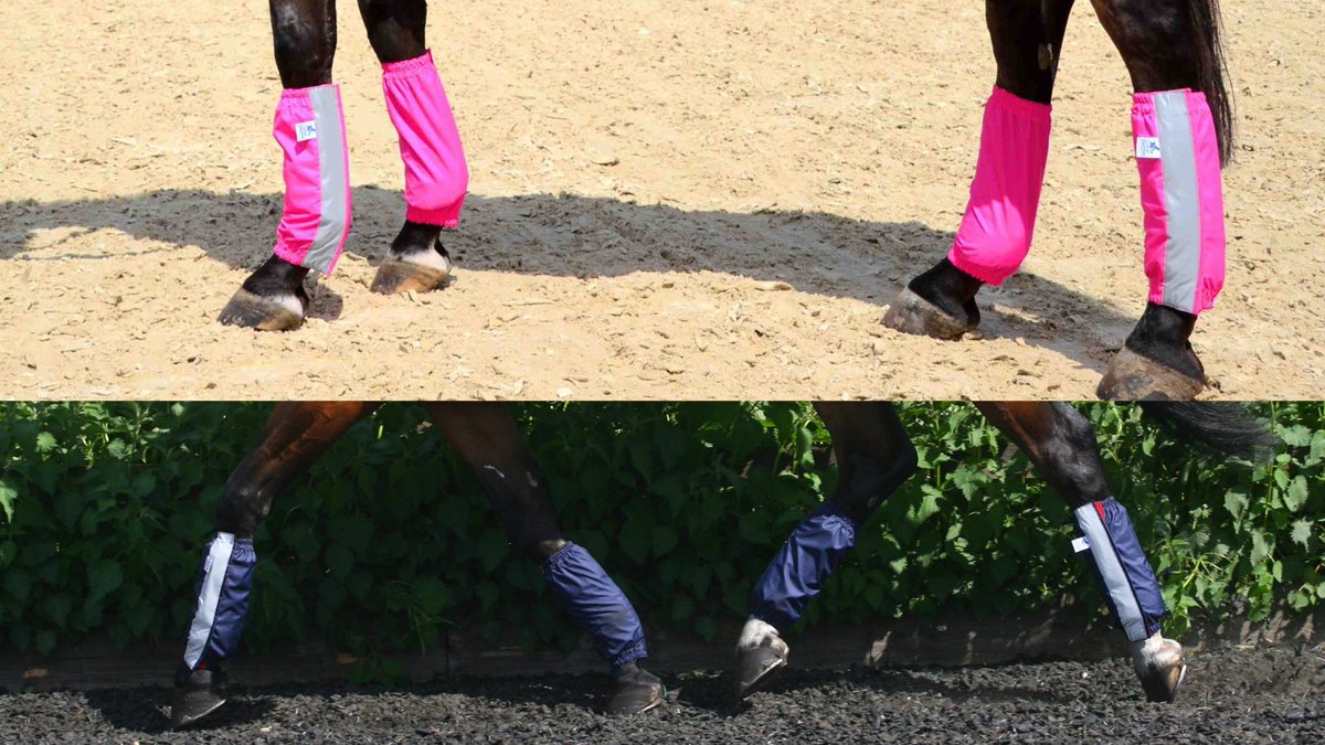 GollyGaloshes's tweet image. Classic Navy Or A Pop Of Pink..
SHOP OUR EXTENSIVE COLLECTION OF GOLLY'S 🛍 bit.ly/2O5TI4K
#waterproofhorsegear #summerhorses